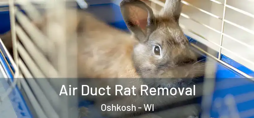  Air Duct Rat Removal Oshkosh - WI