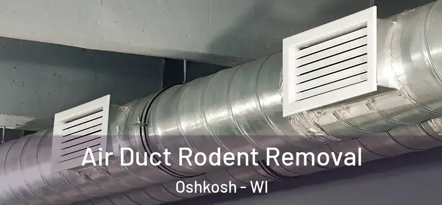  Air Duct Rodent Removal Oshkosh - WI