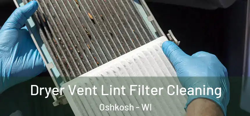  Dryer Vent Lint Filter Cleaning Oshkosh - WI