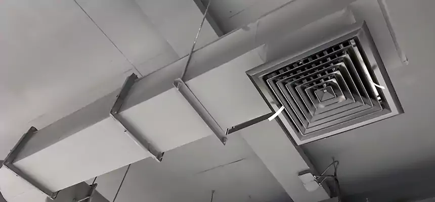 Our Pest Removal From Ducts Services in Oshkosh, WI