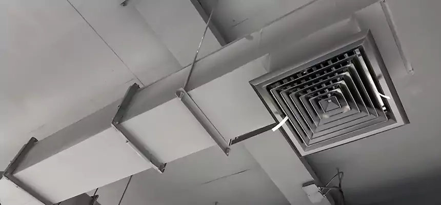 Our Rodent Droppings In Vents Services in Oshkosh, WI