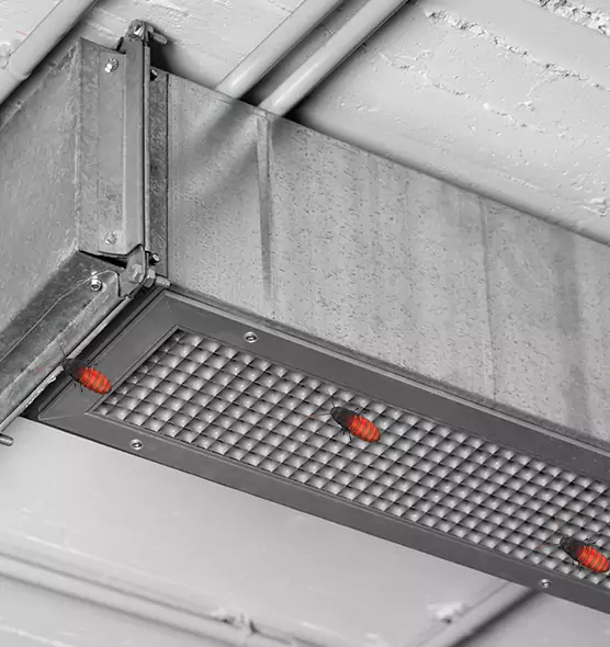 Affordable Insect Removal from Air Ducts in Oshkosh, WI