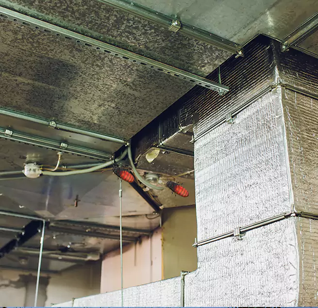 Why Homeowners & Businesses Trust Us in Oshkosh, WI?