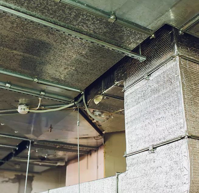 Why Homeowners & Businesses Trust Us in Oshkosh, WI?